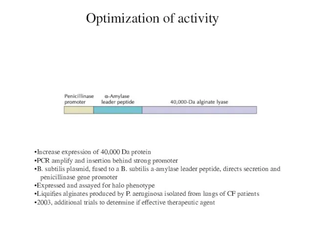 Optimization of activity Increase expression of 40,000 Da protein PCR amplify and