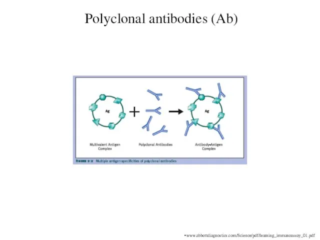 Polyclonal antibodies (Ab) www.abbottdiagnostics.com/Science/pdf/learning_immunoassay_01.pdf