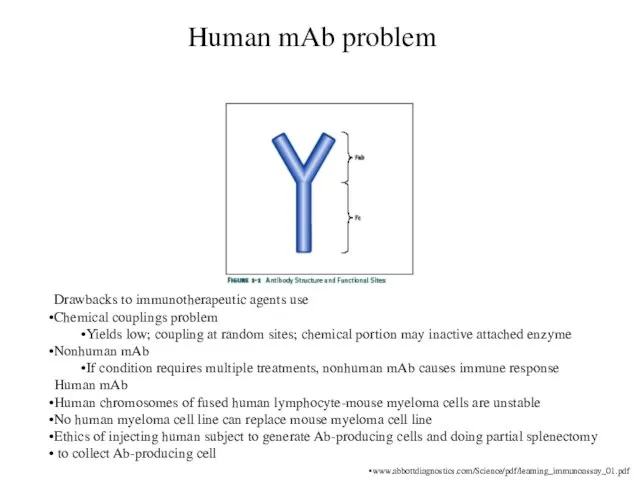Human mAb problem Drawbacks to immunotherapeutic agents use Chemical couplings problem Yields