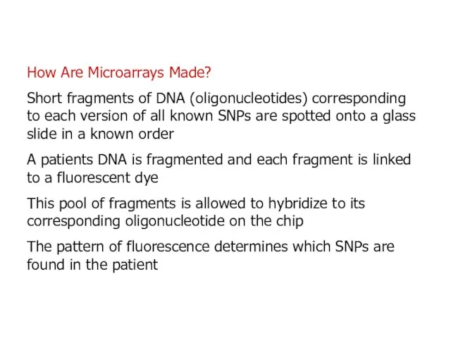 How Are Microarrays Made? Short fragments of DNA (oligonucleotides) corresponding to each