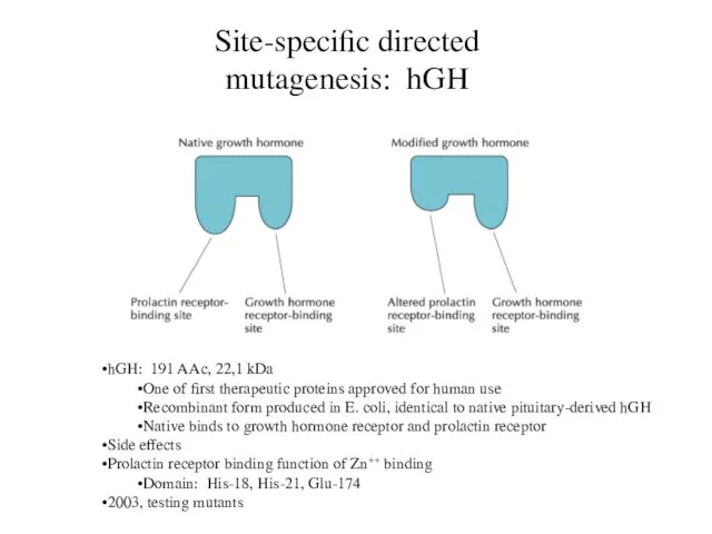 Site-specific directed mutagenesis: hGH hGH: 191 AAc, 22,1 kDa One of first