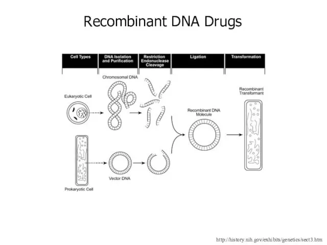http://history.nih.gov/exhibits/genetics/sect3.htm Recombinant DNA Drugs