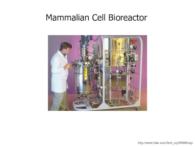 http://www.nbsc.com/ferm_eq/bf6000.asp Mammalian Cell Bioreactor