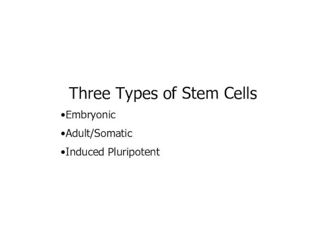 Three Types of Stem Cells Embryonic Adult/Somatic Induced Pluripotent