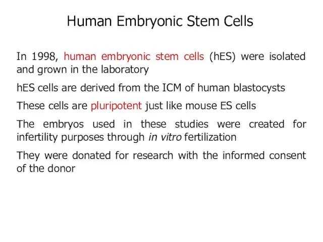 In 1998, human embryonic stem cells (hES) were isolated and grown in
