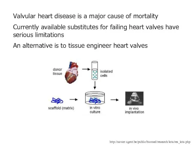 http://navier.ugent.be/public/biomed/research/kris/res_kris.php Valvular heart disease is a major cause of mortality Currently available