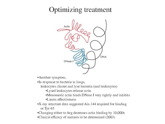 Optimizing treatment Another symptom, In response to bacteria in lungs, leukocytes cluster