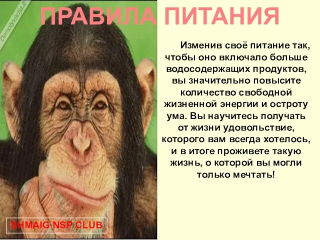 ПРАВИЛА ПИТАНИЯ Изменив своё питание так, чтобы оно включало больше водосодержащих продуктов,