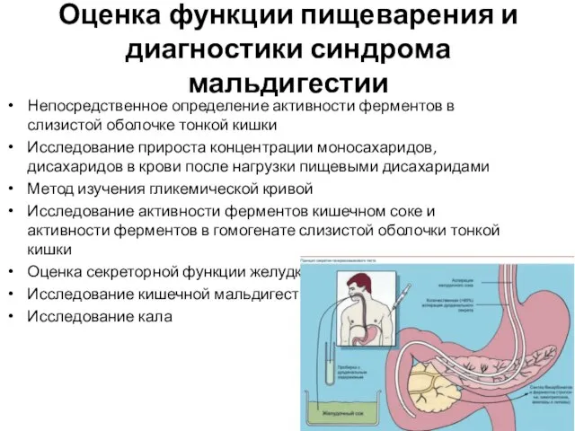 Оценка функции пищеварения и диагностики синдрома мальдигестии Непосредственное определение активности ферментов в