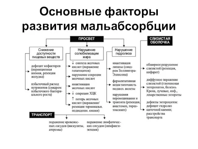 Основные факторы развития мальабсорбции