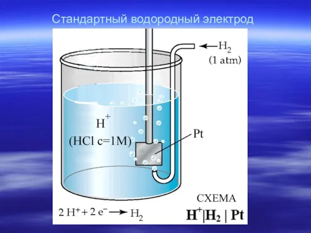 Стандартный водородный электрод