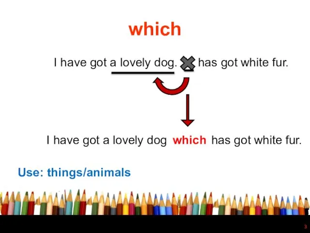 which I have got a lovely dog. It has got white fur.