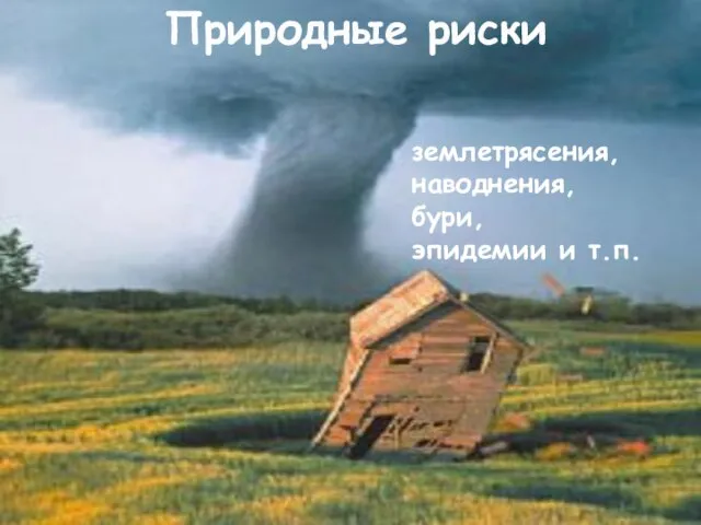 Бизнес землетрясения, наводнения, бури, эпидемии и т.п. Природные риски