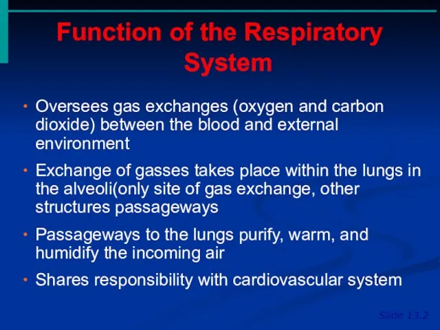 Function of the Respiratory System Slide 13.2 Oversees gas exchanges (oxygen and