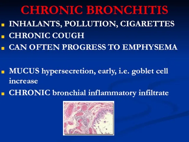 CHRONIC BRONCHITIS INHALANTS, POLLUTION, CIGARETTES CHRONIC COUGH CAN OFTEN PROGRESS TO EMPHYSEMA