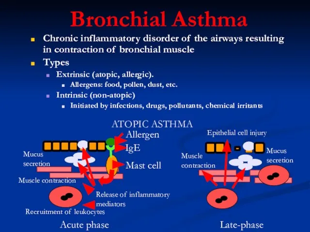 Bronchial Asthma Chronic inflammatory disorder of the airways resulting in contraction of