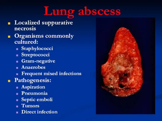 Lung abscess Localized suppurative necrosis Organisms commonly cultured: Staphylococci Streptococci Gram-negative Anaerobes