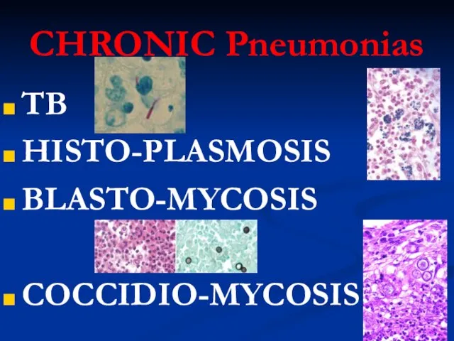 CHRONIC Pneumonias TB HISTO-PLASMOSIS BLASTO-MYCOSIS COCCIDIO-MYCOSIS