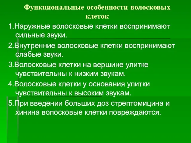 Функциональные особенности волосковых клеток 1.Наружные волосковые клетки воспринимают сильные звуки. 2.Внутренние волосковые