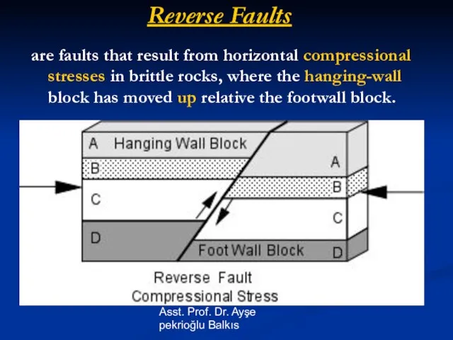 Asst. Prof. Dr. Ayşe pekrioğlu Balkıs Reverse Faults are faults that result