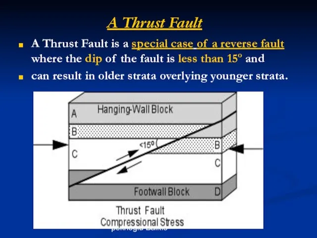 Asst. Prof. Dr. Ayşe pekrioğlu Balkıs A Thrust Fault A Thrust Fault