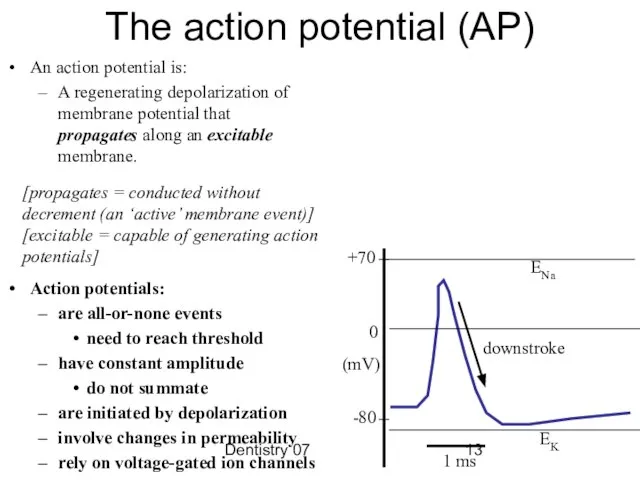 Dentistry 07 The action potential (AP) An action potential is: A regenerating