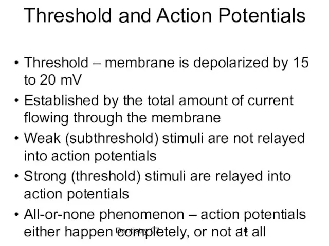 Dentistry 07 Threshold and Action Potentials Threshold – membrane is depolarized by