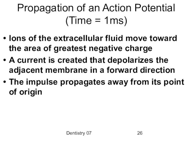 Dentistry 07 Propagation of an Action Potential (Time = 1ms) Ions of