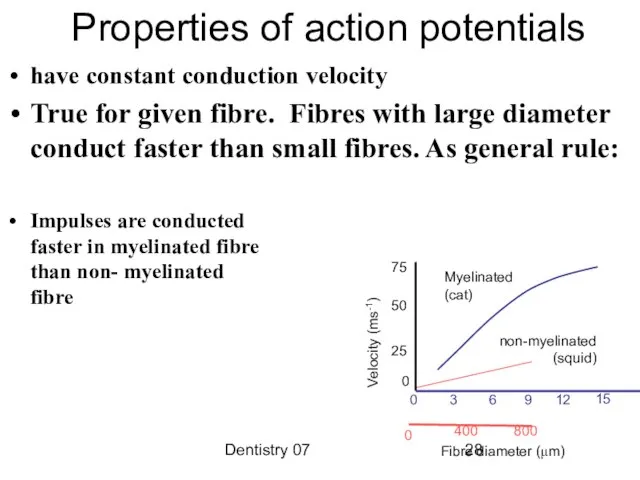 Dentistry 07 Properties of action potentials have constant conduction velocity True for