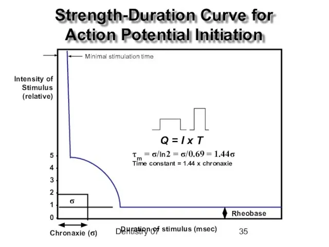 Dentistry 07 Strength-Duration Curve for Action Potential Initiation Duration of stimulus (msec)