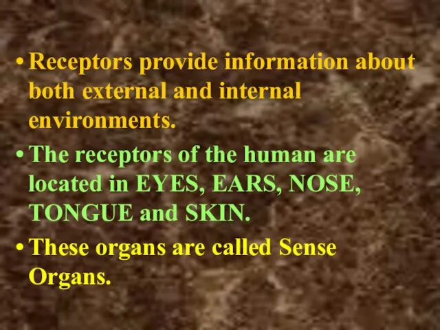 Receptors provide information about both external and internal environments. The receptors of