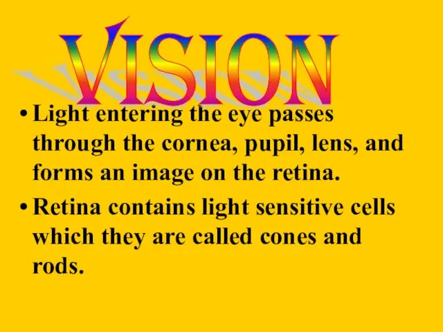 Light entering the eye passes through the cornea, pupil, lens, and forms