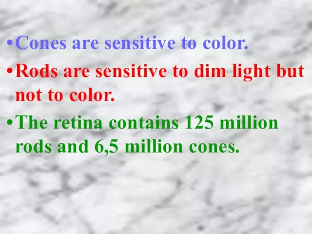 Cones are sensitive to color. Rods are sensitive to dim light but