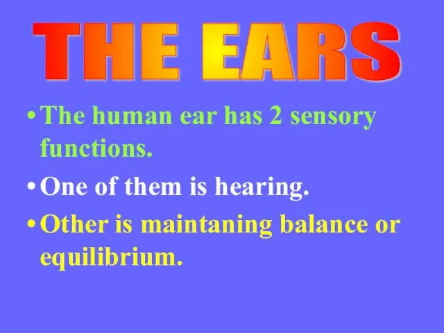 The human ear has 2 sensory functions. One of them is hearing.