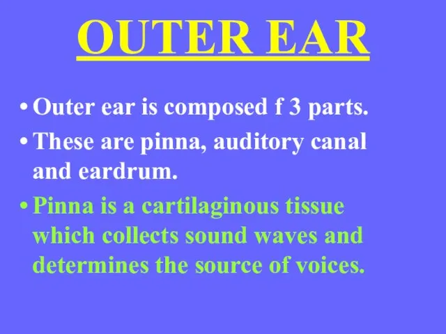 OUTER EAR Outer ear is composed f 3 parts. These are pinna,