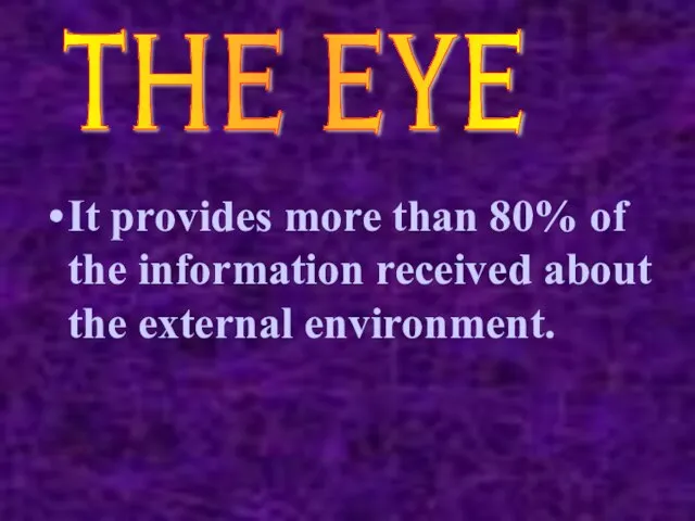 It provides more than 80% of the information received about the external environment. THE EYE