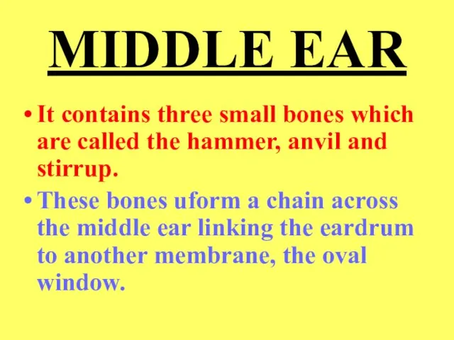 MIDDLE EAR It contains three small bones which are called the hammer,