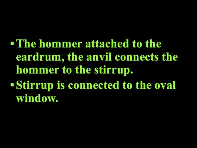 The hommer attached to the eardrum, the anvil connects the hommer to