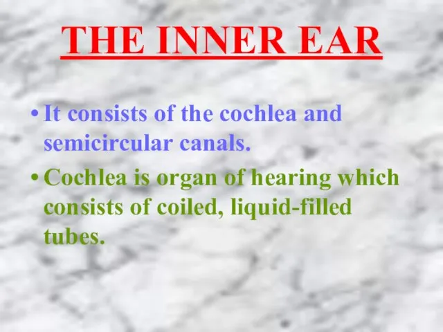 THE INNER EAR It consists of the cochlea and semicircular canals. Cochlea