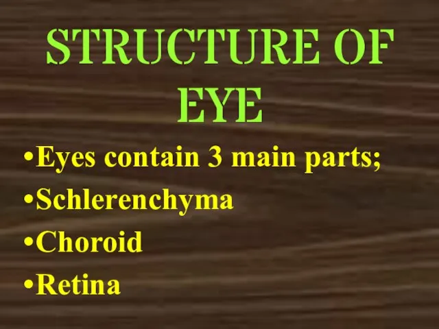 STRUCTURE OF EYE Eyes contain 3 main parts; Schlerenchyma Choroid Retina