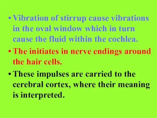 Vibration of stirrup cause vibrations in the oval window which in turn