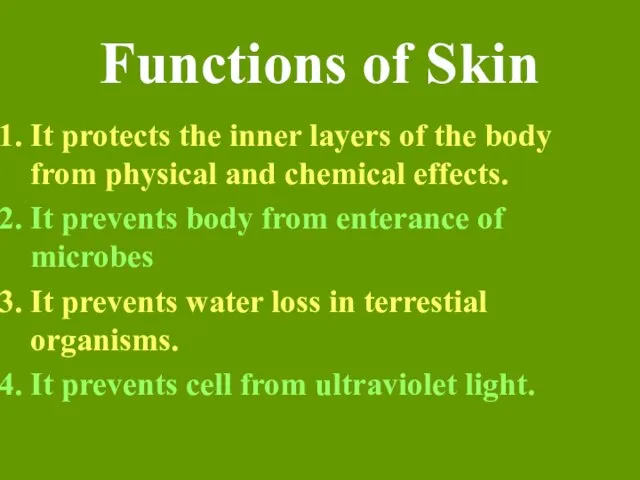 Functions of Skin It protects the inner layers of the body from