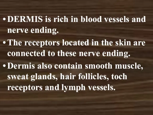 DERMIS is rich in blood vessels and nerve ending. The receptors located