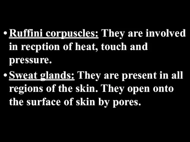 Ruffini corpuscles: They are involved in recption of heat, touch and pressure.