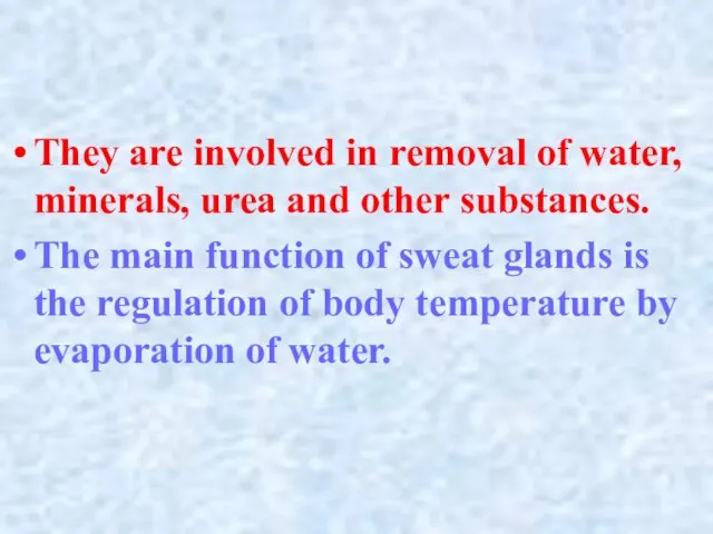 They are involved in removal of water, minerals, urea and other substances.