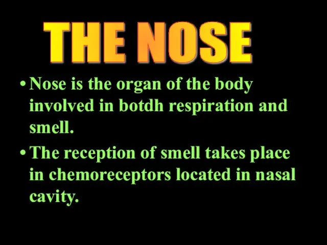 Nose is the organ of the body involved in botdh respiration and