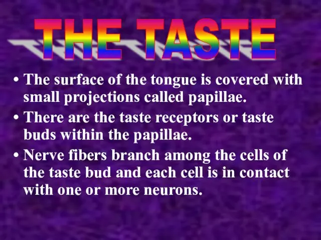 The surface of the tongue is covered with small projections called papillae.