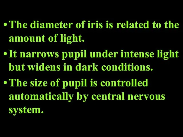 The diameter of iris is related to the amount of light. It