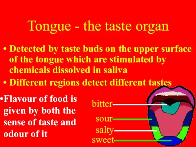 Tongue - the taste organ Detected by taste buds on the upper