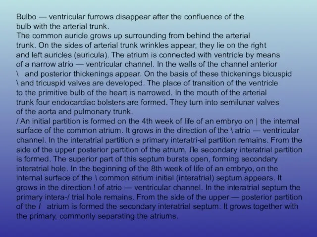 Bulbo — ventricular furrows disappear after the confluence of the bulb with